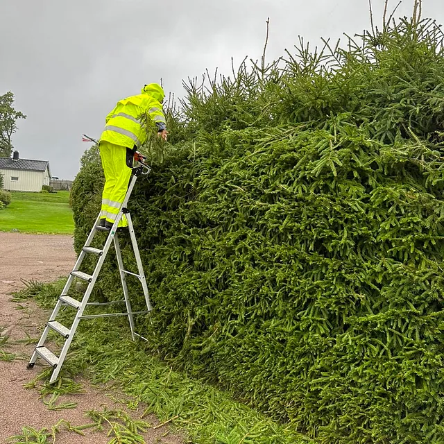 Hagearbeid utført av First Hageservice
